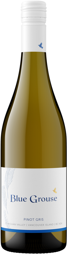 2024 Pinot Gris
