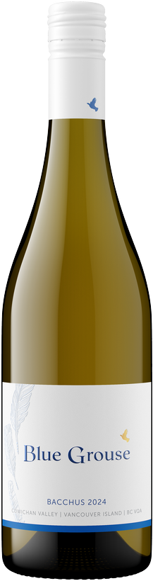 2024 Bacchus