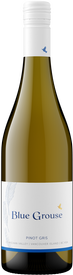 2024 Pinot Gris